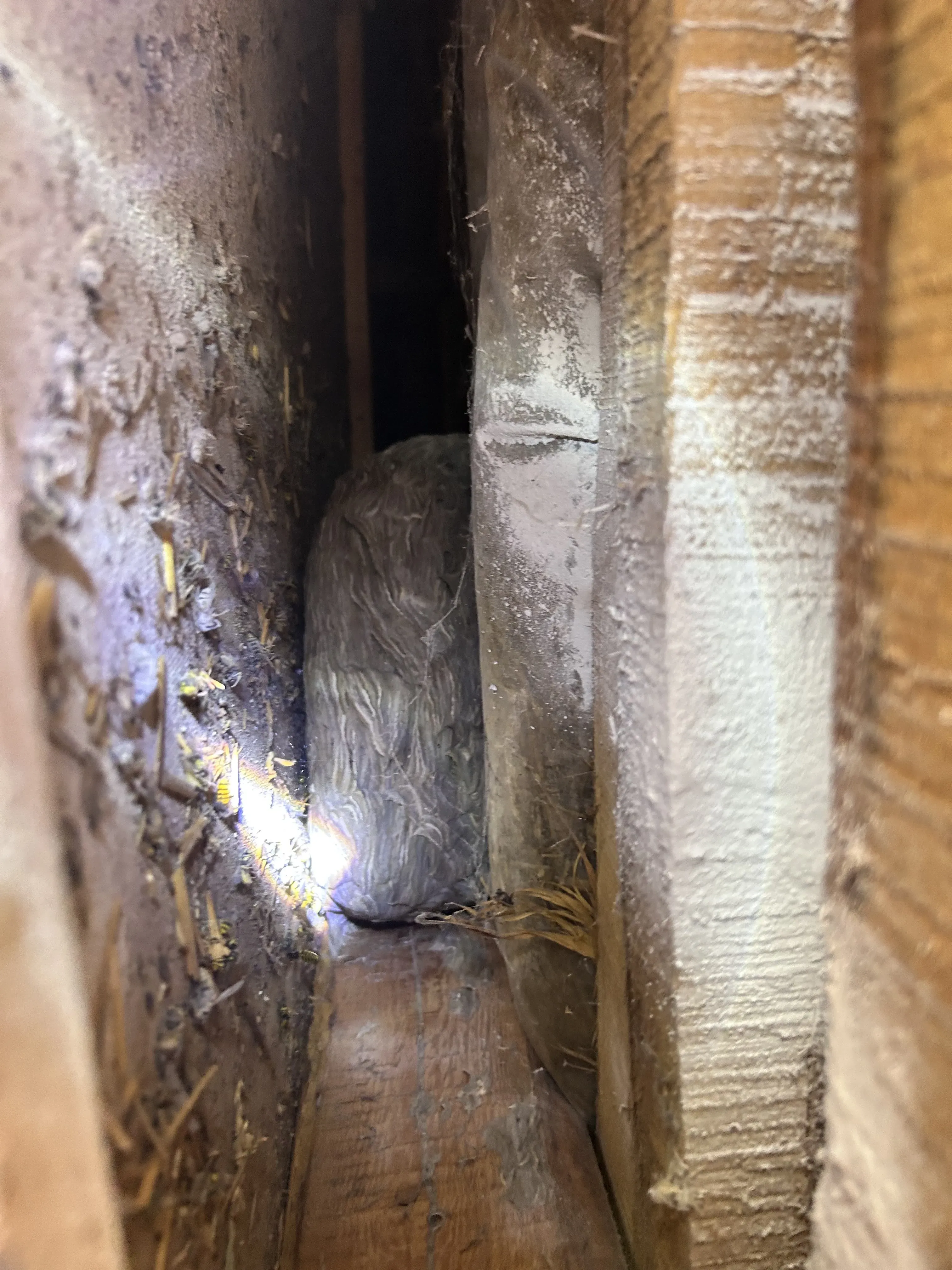 RovarPlus munkák 10