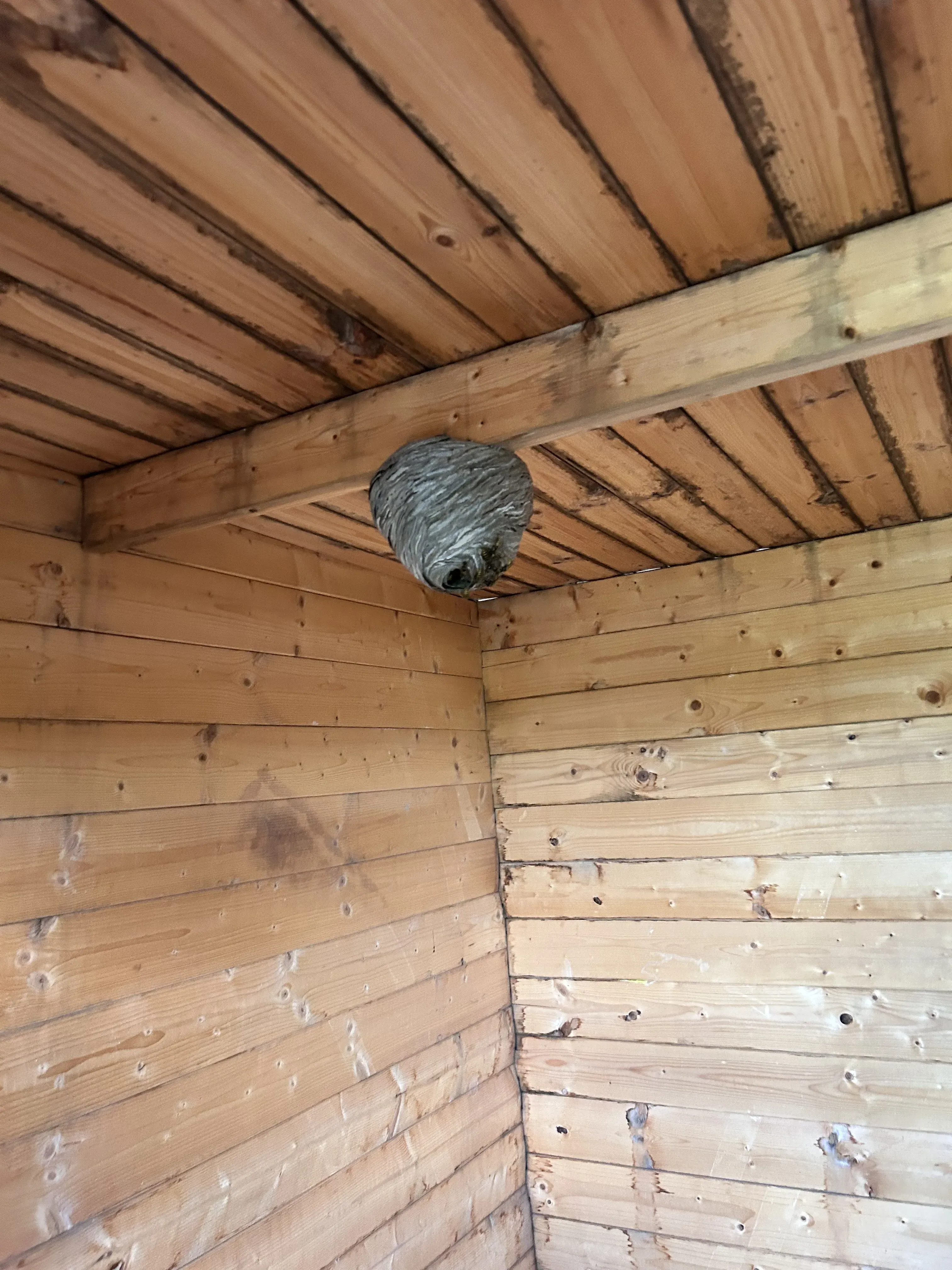 RovarPlus munkák 11